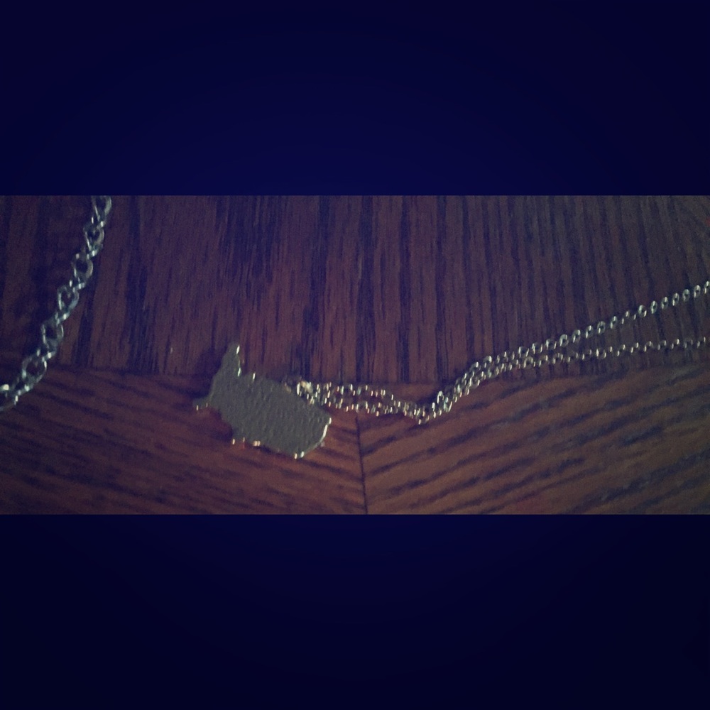 American map necklace